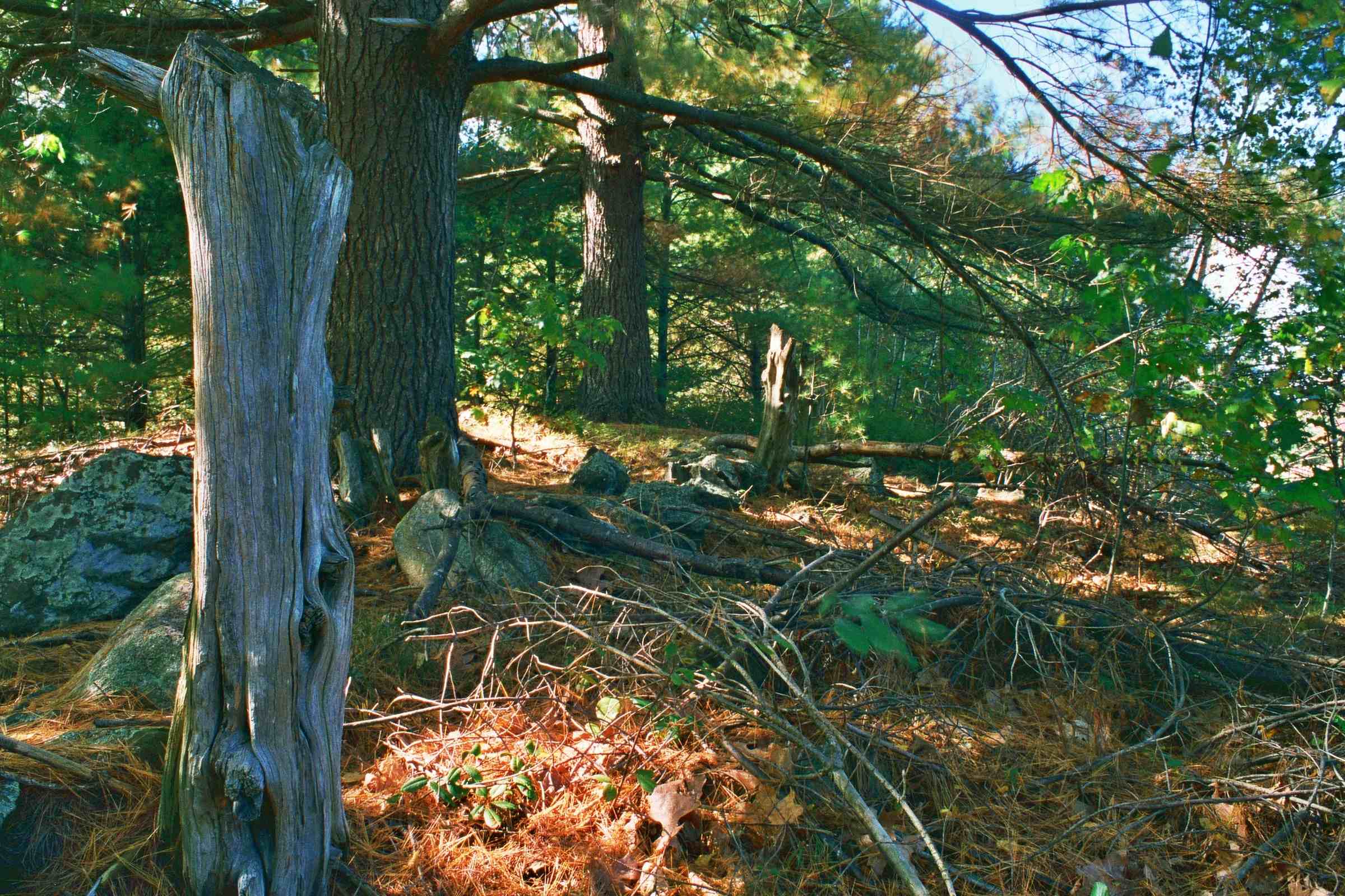 fence-post