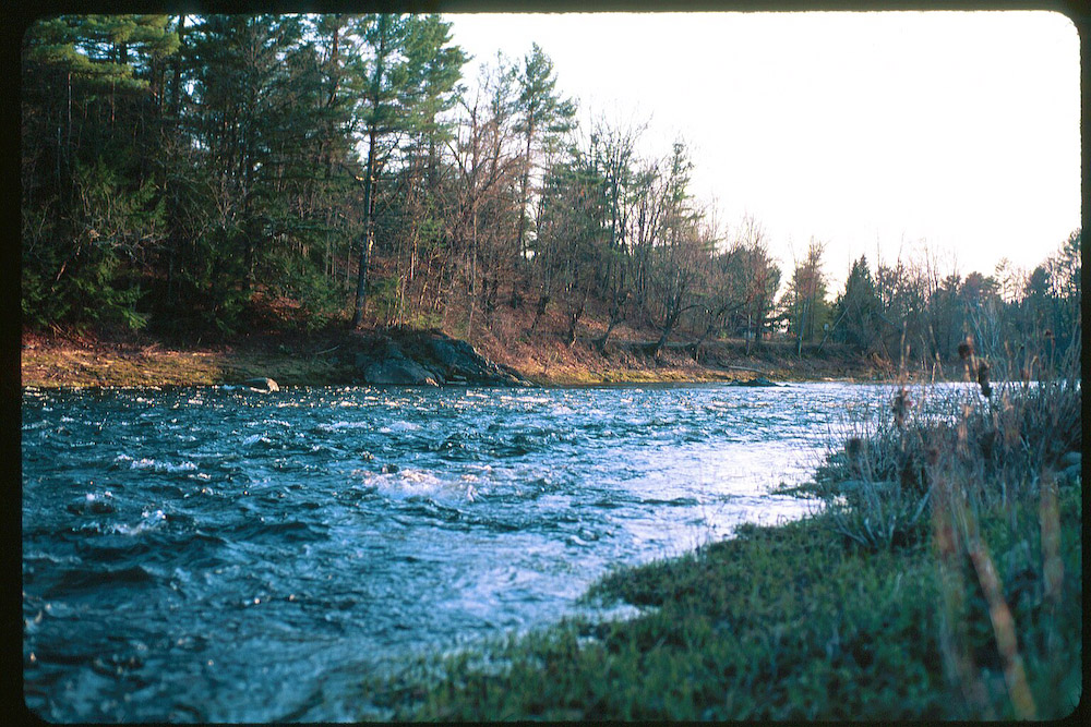 fuji-velvia-50-12