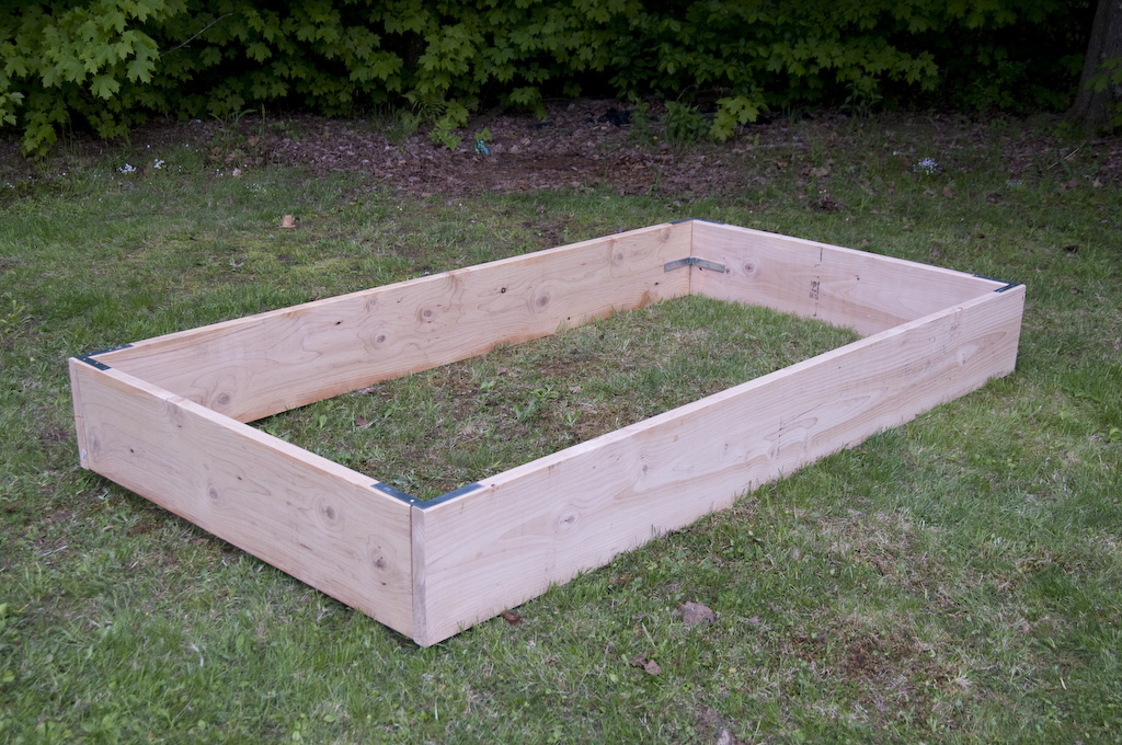 2008-garden-9321